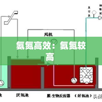 氨氮高效：氨氮较高 