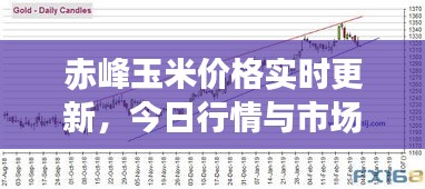 赤峰玉米价格实时更新，今日行情与市场走势分析