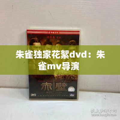 朱雀独家花絮dvd：朱雀mv导演 