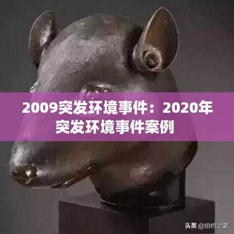 2009突发环境事件：2020年突发环境事件案例 