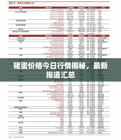 猪蛋价格今日行情揭秘，最新报道汇总