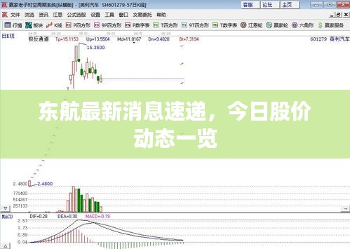 东航最新消息速递，今日股价动态一览