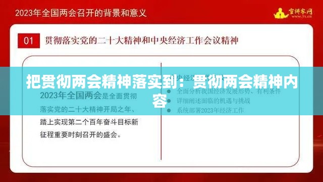 把贯彻两会精神落实到：贯彻两会精神内容 