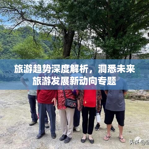 旅游趋势深度解析，洞悉未来旅游发展新动向专题