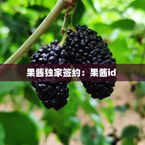 果酱独家签约：果酱id 