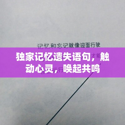 独家记忆遗失语句，触动心灵，唤起共鸣