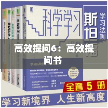 高效提问6：高效提问书 