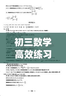 初三数学高效练习册：高效课堂九年级数学 