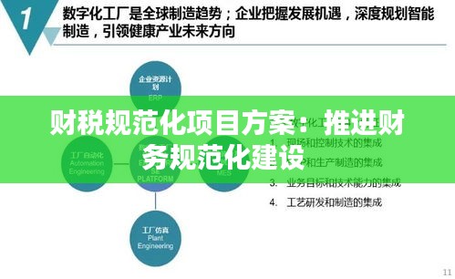 财税规范化项目方案：推进财务规范化建设 