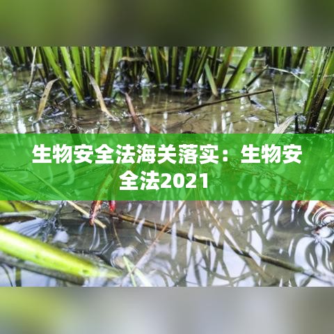 生物安全法海关落实：生物安全法2021 