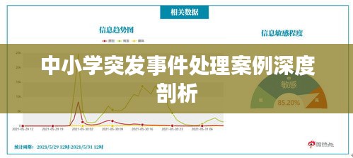 中小学突发事件处理案例深度剖析