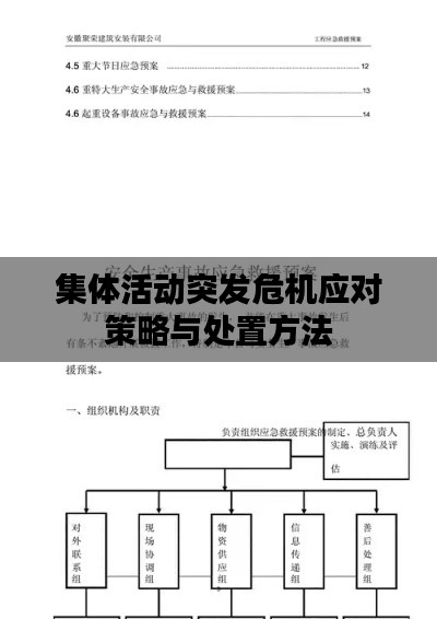 集体活动突发危机应对策略与处置方法