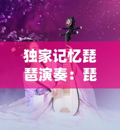 独家记忆琵琶演奏：琵琶独秦 