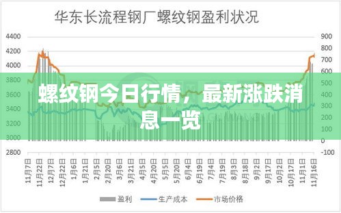 2025年1月30日 第5页