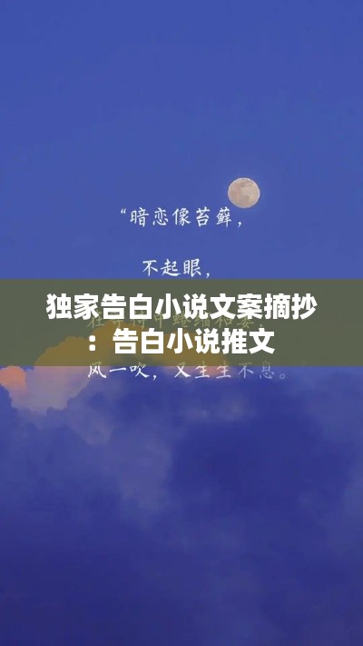 独家告白小说文案摘抄：告白小说推文 