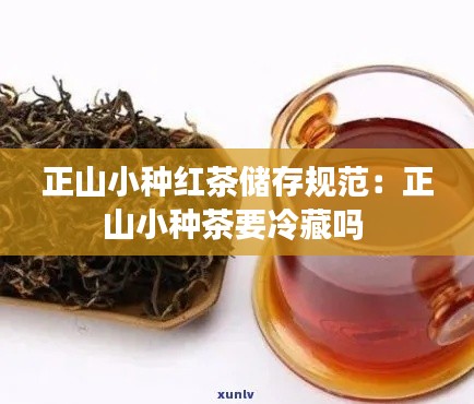 正山小种红茶储存规范：正山小种茶要冷藏吗 