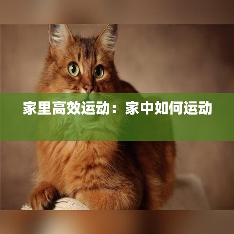 家里高效运动：家中如何运动 