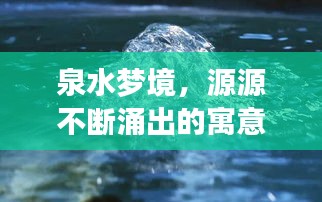 泉水梦境，源源不断涌出的寓意与启示