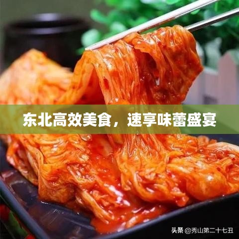 东北高效美食，速享味蕾盛宴