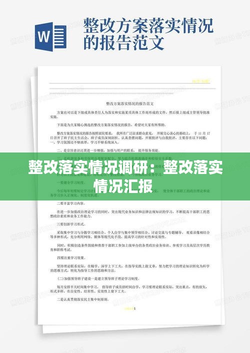 整改落实情况调研：整改落实情况汇报 