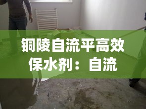 铜陵自流平高效保水剂：自流平含水率 