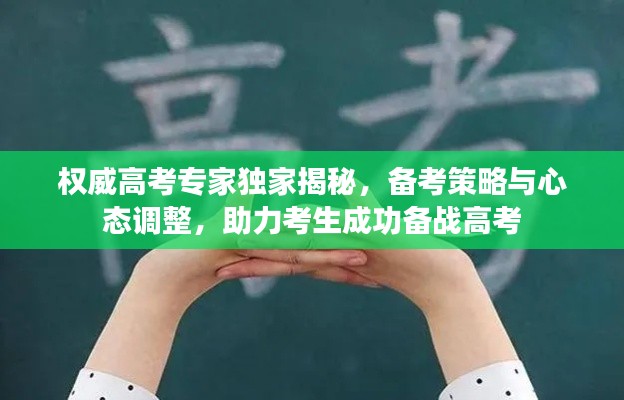 权威高考专家独家揭秘，备考策略与心态调整，助力考生成功备战高考