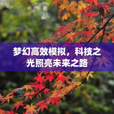 梦幻高效模拟，科技之光照亮未来之路