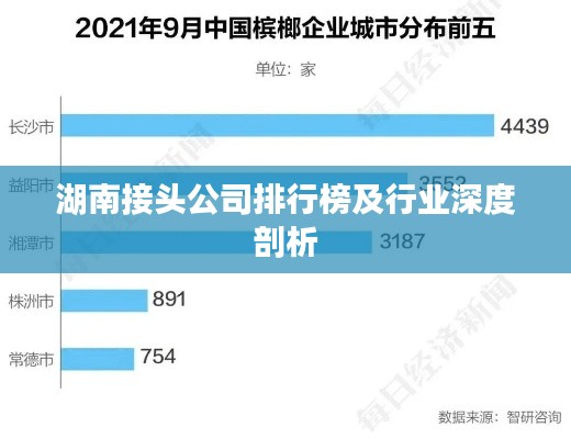 湖南接头公司排行榜及行业深度剖析