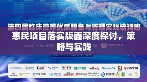 惠民项目落实版面深度探讨，策略与实践