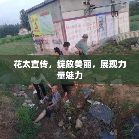 花太宣传，绽放美丽，展现力量魅力