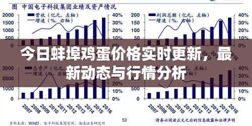 今日蚌埠鸡蛋价格实时更新，最新动态与行情分析