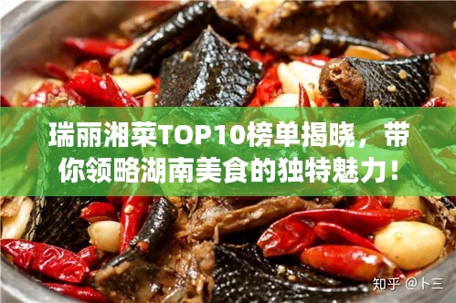 瑞丽湘菜TOP10榜单揭晓，带你领略湖南美食的独特魅力！