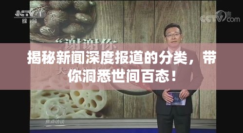 揭秘新闻深度报道的分类，带你洞悉世间百态！