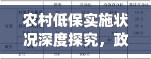 农村低保实施状况深度探究，政策落实与成效观察