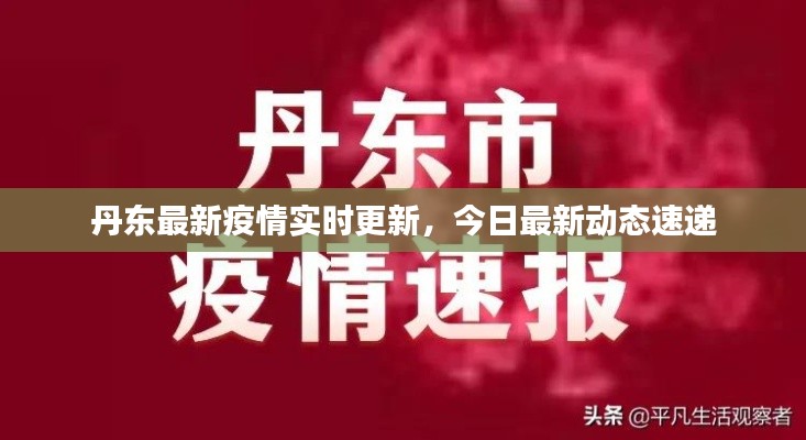 丹东最新疫情实时更新，今日最新动态速递