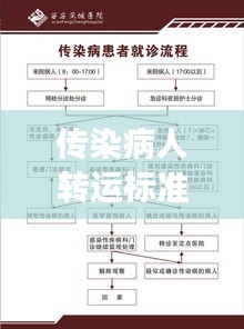 传染病人转运标准流程，安全、高效的转运操作指南