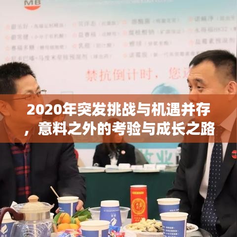 2020年突发挑战与机遇并存，意料之外的考验与成长之路