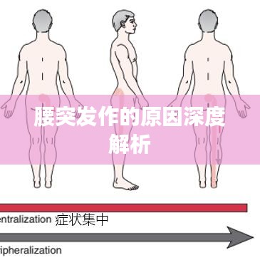 腰突发作的原因深度解析