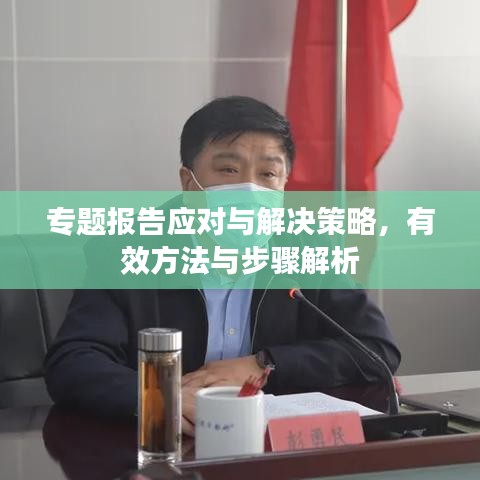 专题报告应对与解决策略，有效方法与步骤解析