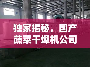 独家揭秘，国产蔬菜干燥机公司排名及行业影响力榜单