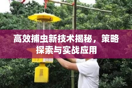 高效捕虫新技术揭秘，策略探索与实战应用