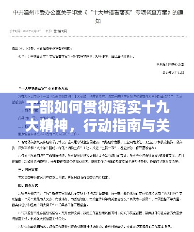 干部如何贯彻落实十九大精神，行动指南与关键举措