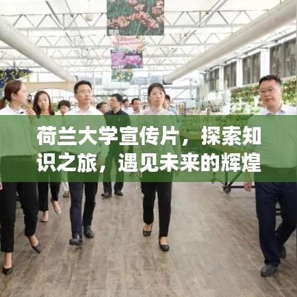 荷兰大学宣传片，探索知识之旅，遇见未来的辉煌自我