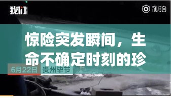 惊险突发瞬间，生命不确定时刻的珍贵捕捉图片