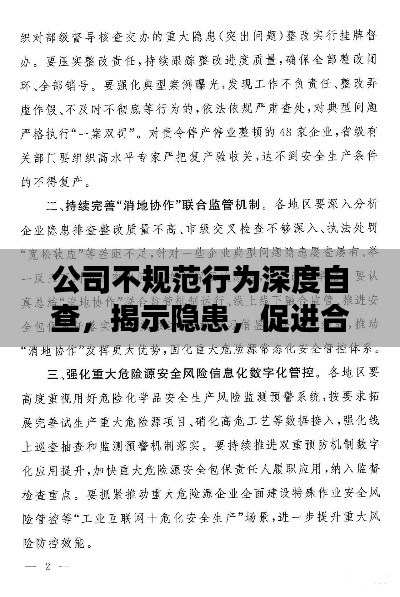 公司不规范行为深度自查，揭示隐患，促进合规发展