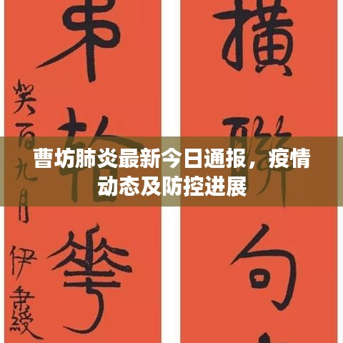 曹坊肺炎最新今日通报，疫情动态及防控进展