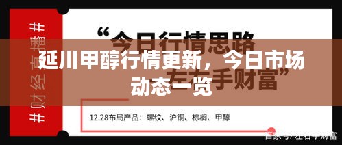 延川甲醇行情更新，今日市场动态一览