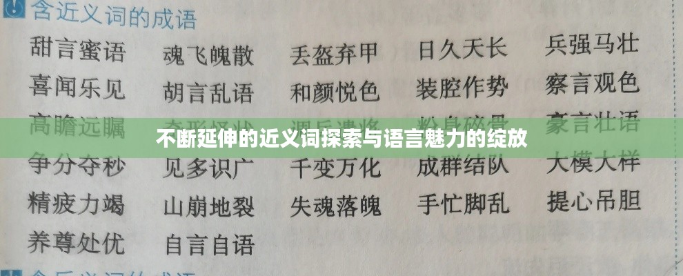 不断延伸的近义词探索与语言魅力的绽放