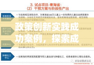 政策创新实践成功案例，探索成功之路，引领发展潮流