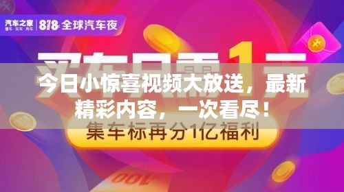 今日小惊喜视频大放送，最新精彩内容，一次看尽！